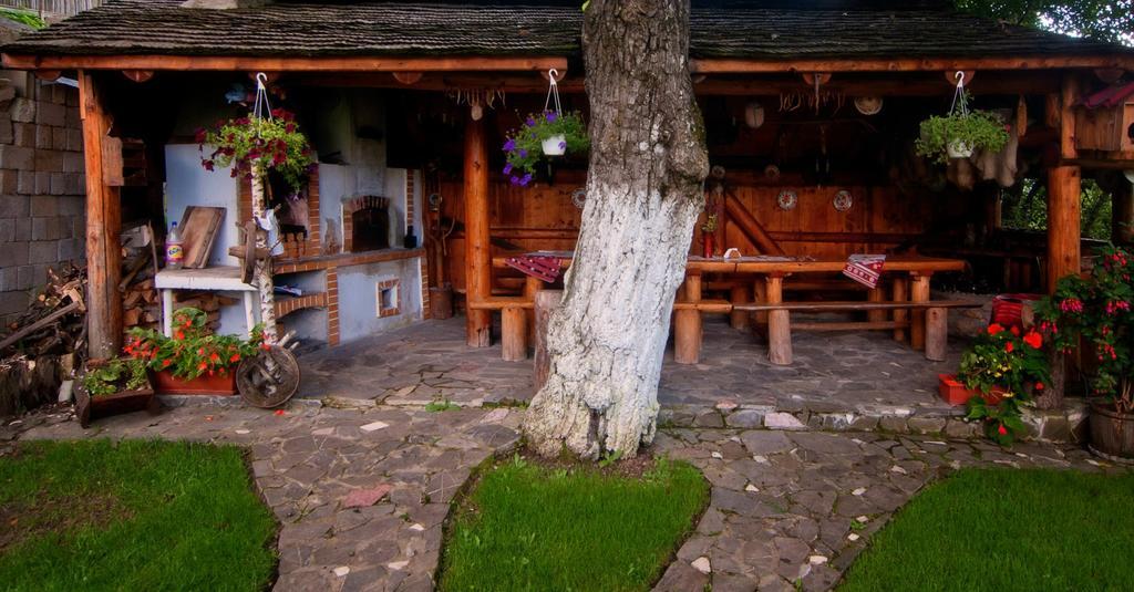 Pension Casa Contelui Râşnov Exterior photo